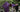 Satori 2026 – Embroidered Lawn Dresses & Premium Lawn Suits for Women